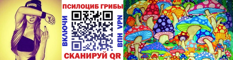 наркошоп  Болотное  Псилоцибиновые грибы мухоморы 